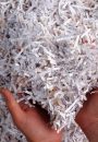 Paper Shredding